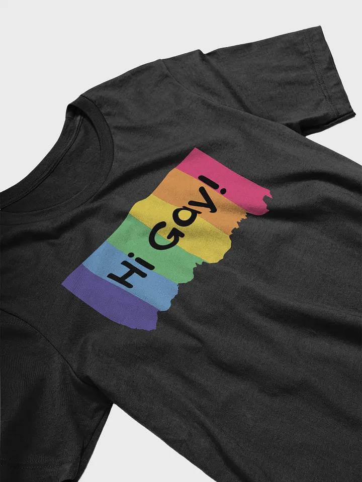 Hi Gay! product image (2)