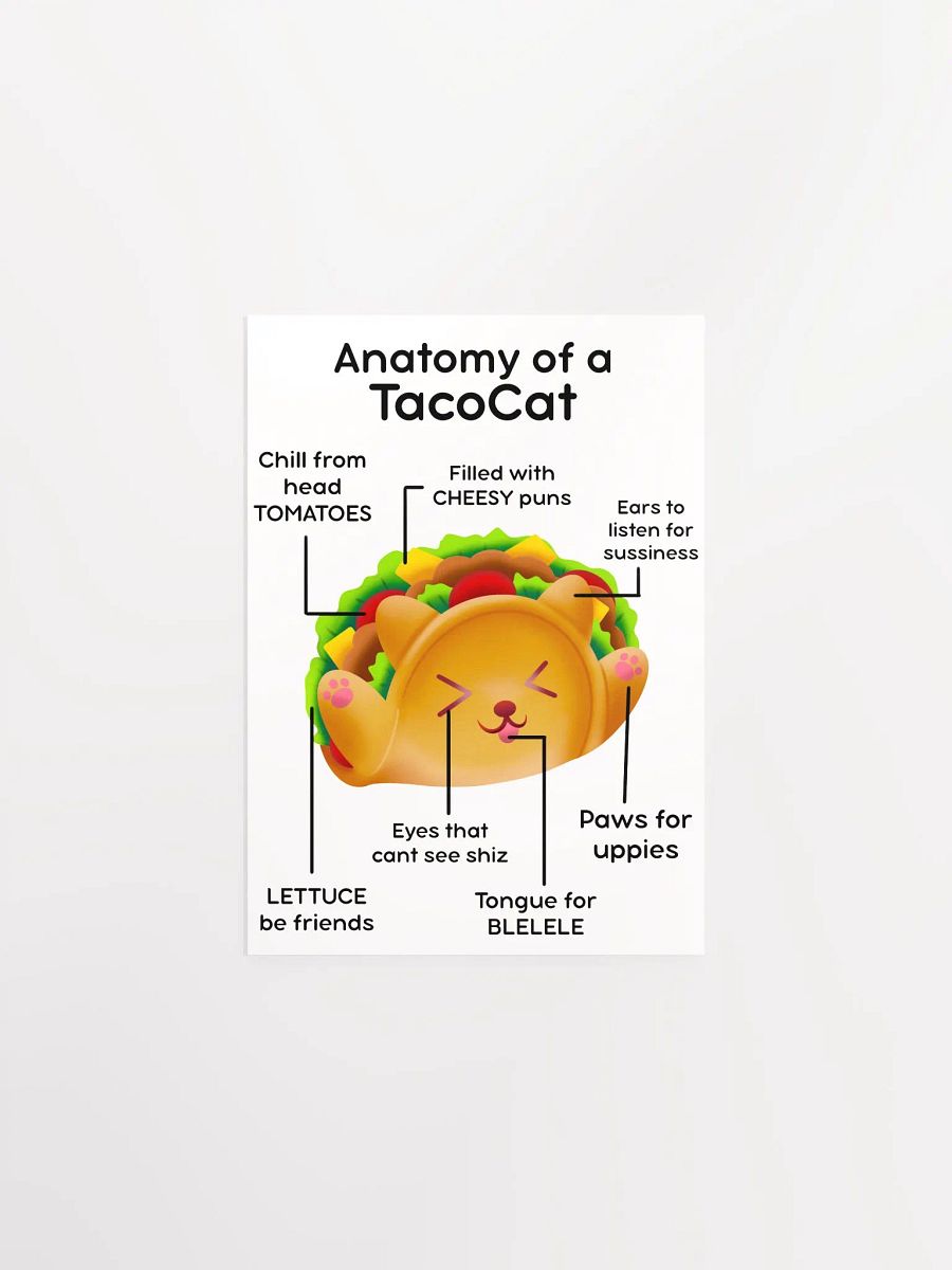 TacoCat Anatomy Poster product image (9)