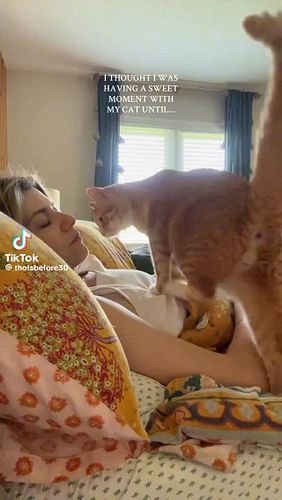the signs were there (he’s orange) 

🎥 TT // thotsbefore30