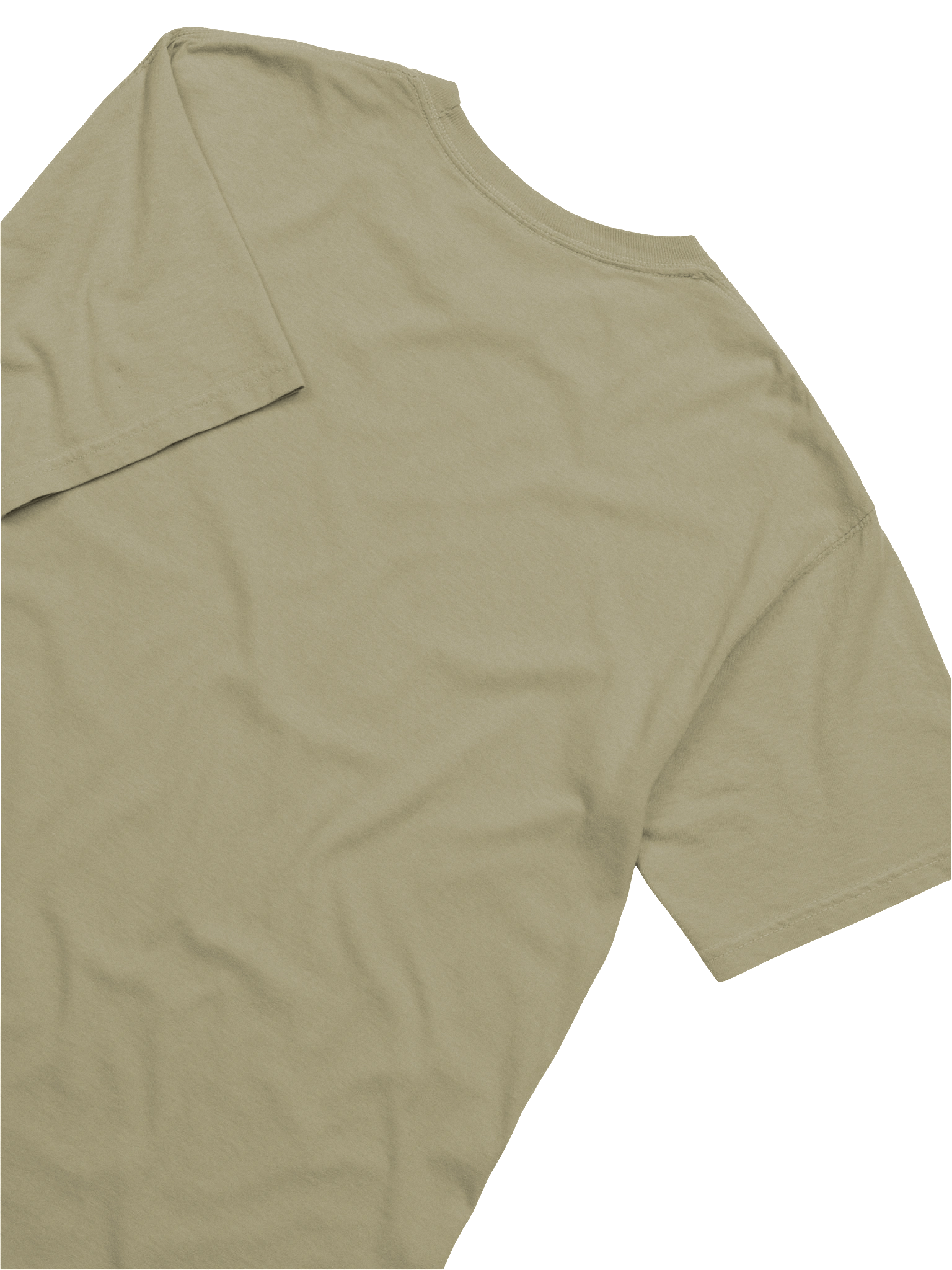 Barry the B*****d T-Shirt product image (6)