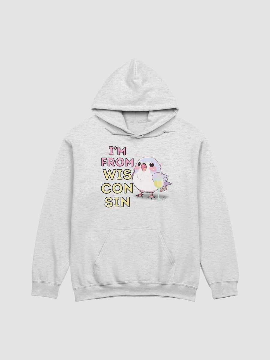 I'm From Wisconsin Bright-Colored Hoodie product image (1)