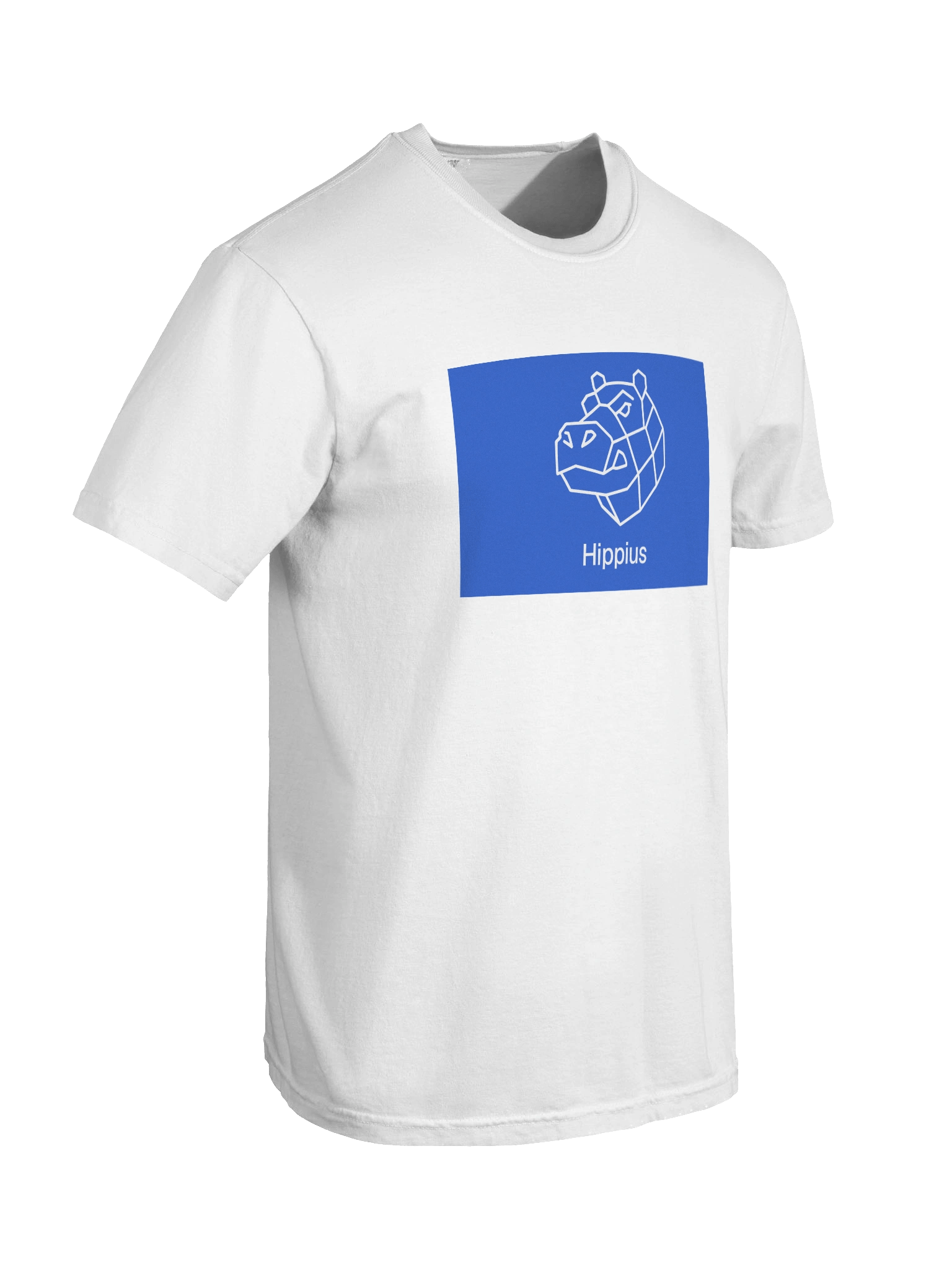 SN75 - Heavyweight T-Shirt product image (8)