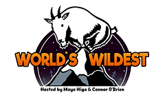 World's Wildest