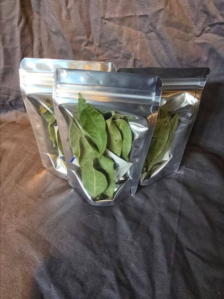 Bay Leafs product image (1)