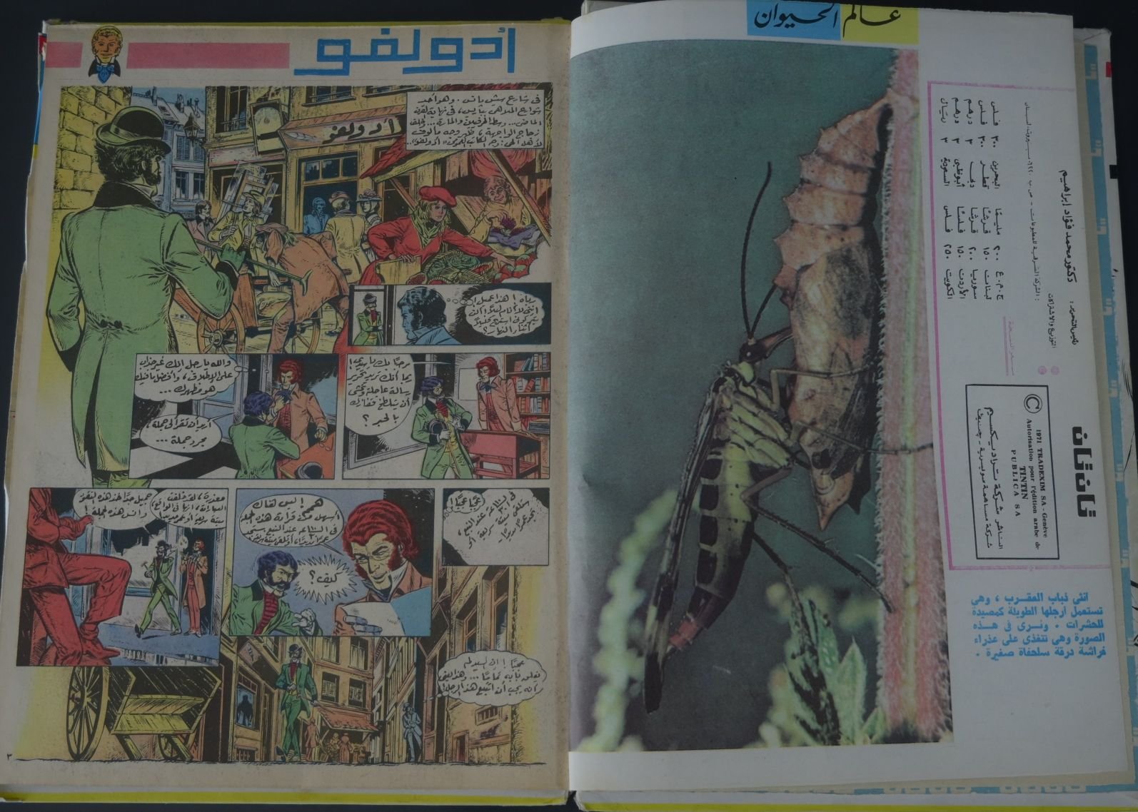 مجلد مجلة تان تان عام 1978 (المجلد الثالث و السبعون) product image (3)