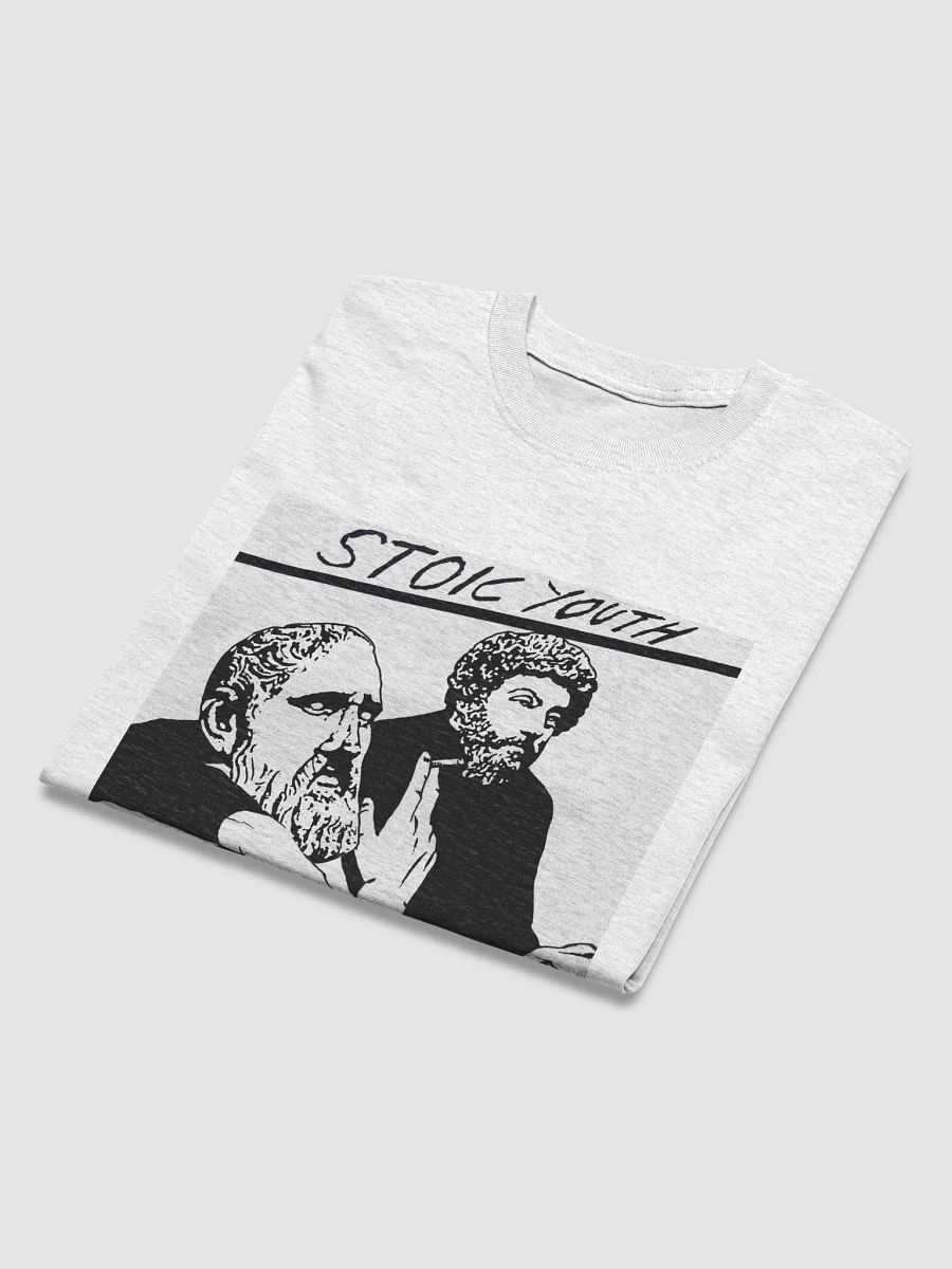 Stoic Youth Gildan Heavyweight T-Shirt product image (4)
