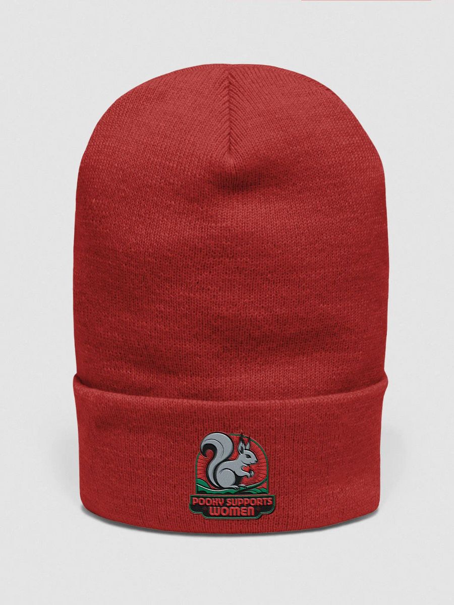 Pooky Loves women cuffed beanie product image (1)