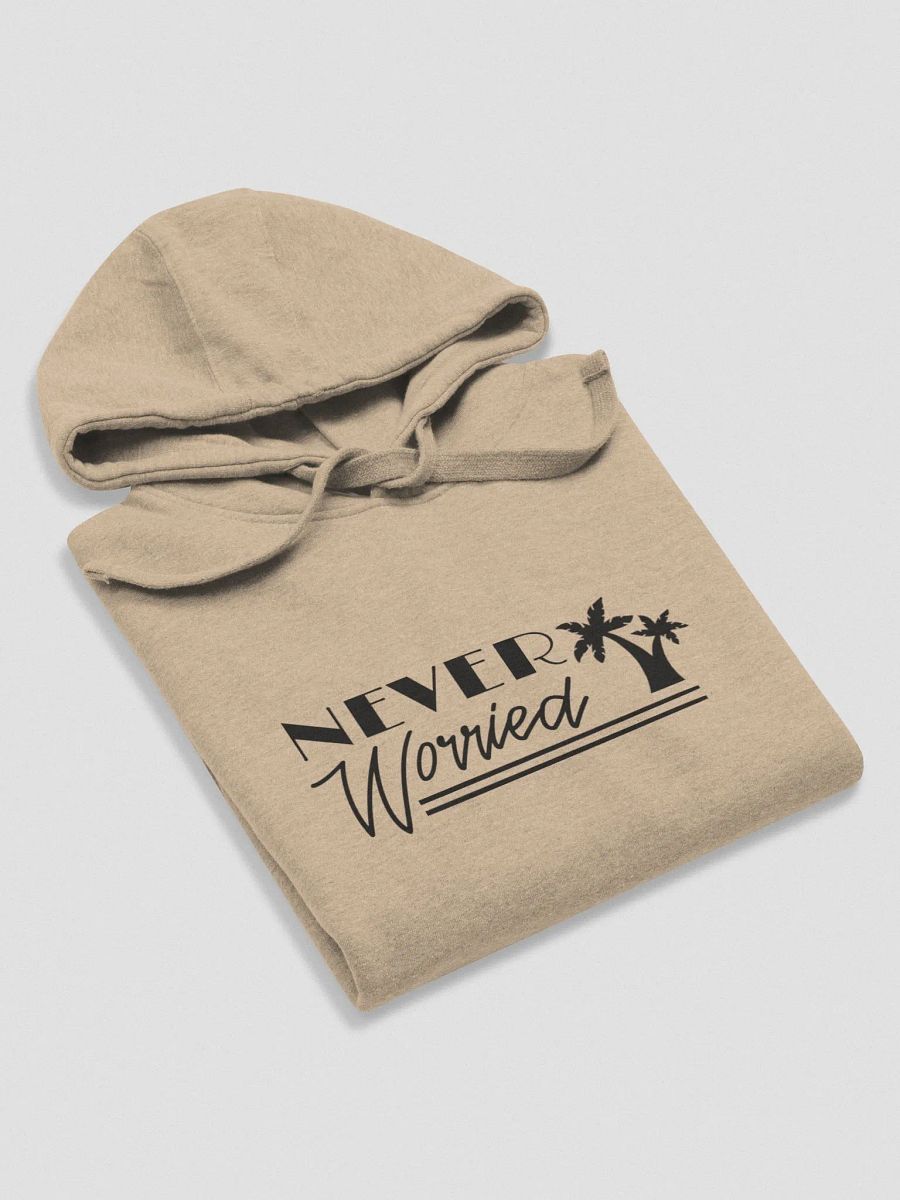 Never Worried Cotton Hoodie product image (42)