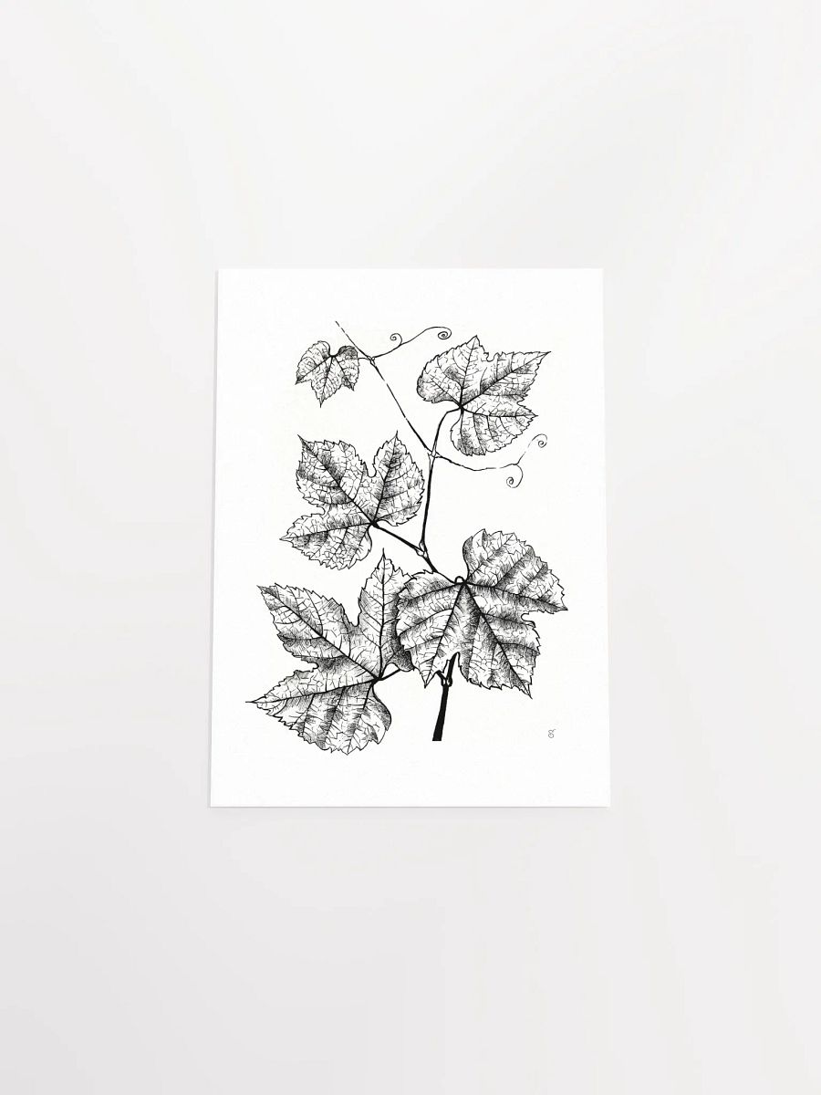 Enchanted Vine: Premium Matte Poster - Grape Leaves product image (4)