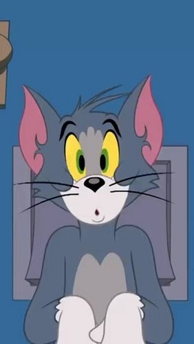 Tom and Jerry Syndrome EXPLAINED
#catsofinstagram #vet #medicine #funfacts #syndrome #tomandjerry