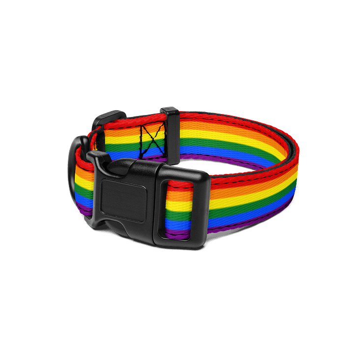 Rainbow Pride Flag Pet Collar product image (1)