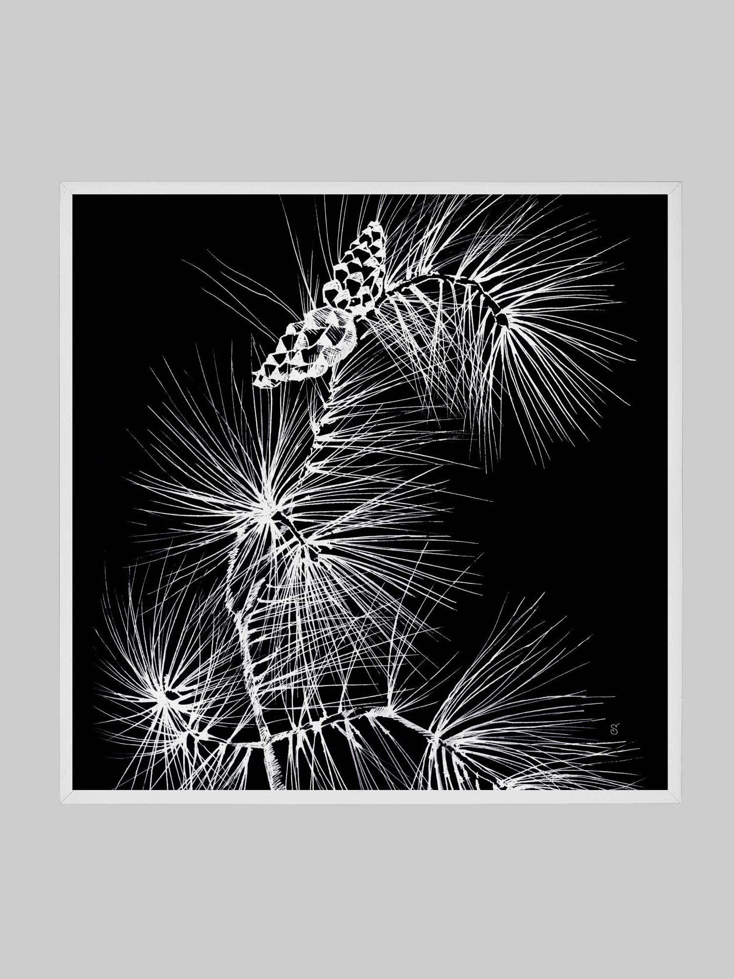 Visionary Canvas Collection - Stylish Pine Branch and Cones product image (131)