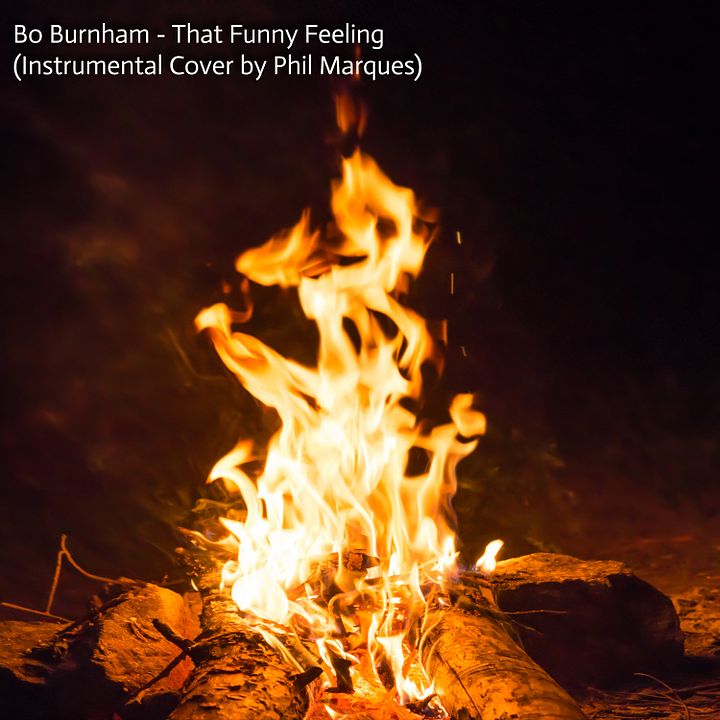 That Funny Feeling (Instrumental Cover) product image (1)
