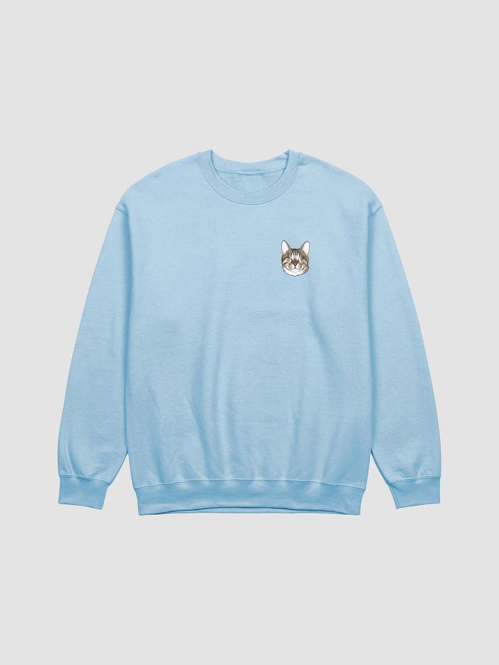 Blind Cat Dmitri Sweatshirt product image (3)