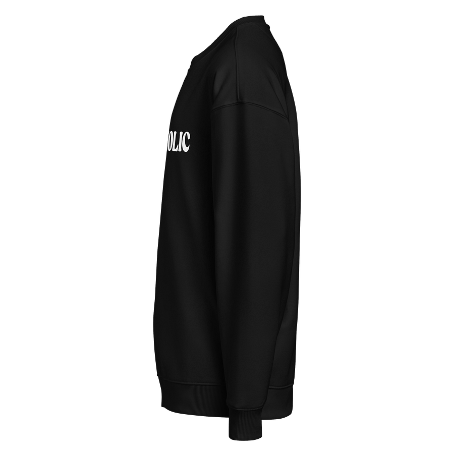 DOGAHOLIC Organic Sweatshirt product image (4)