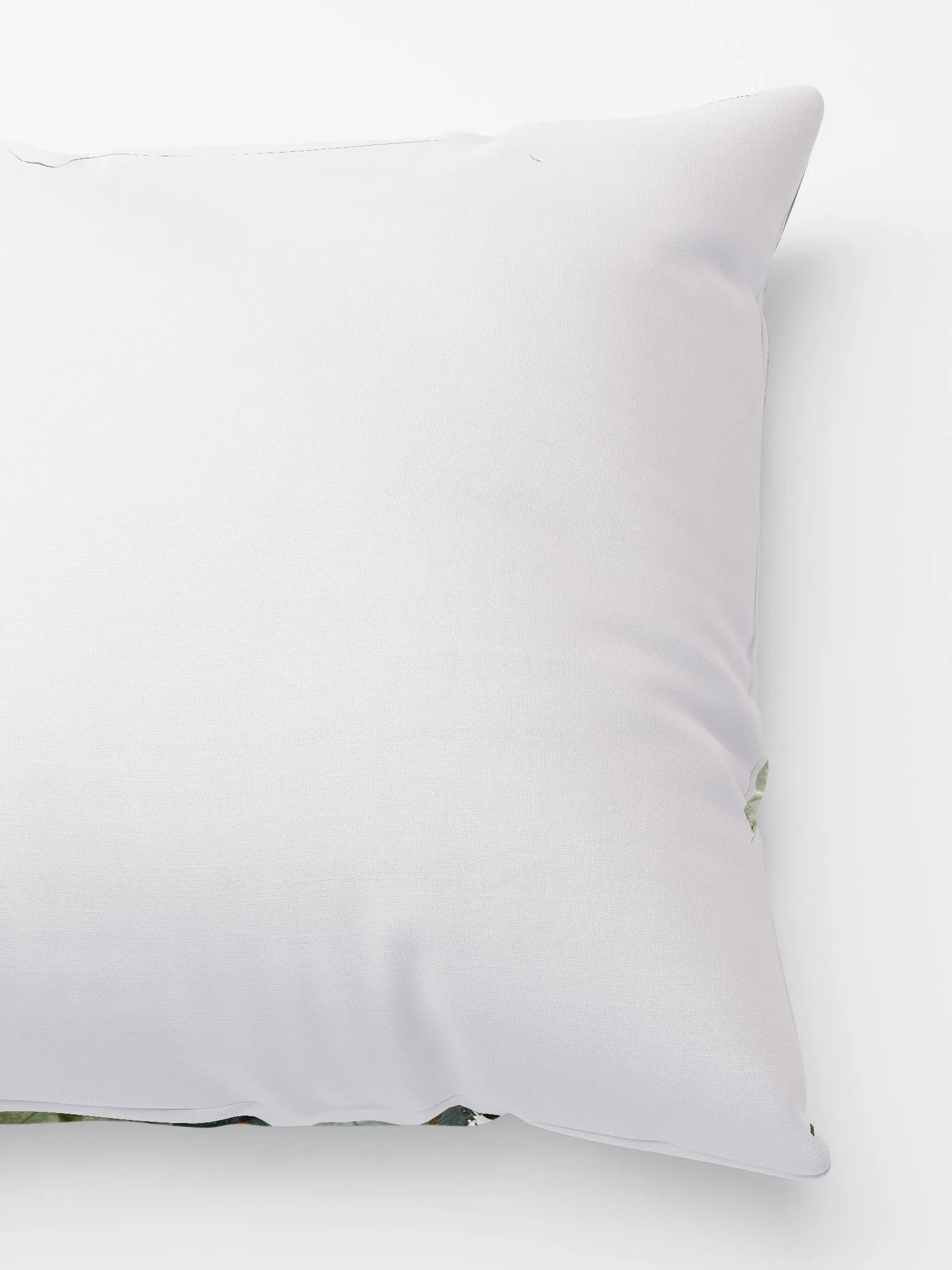 Daisies product image (6)
