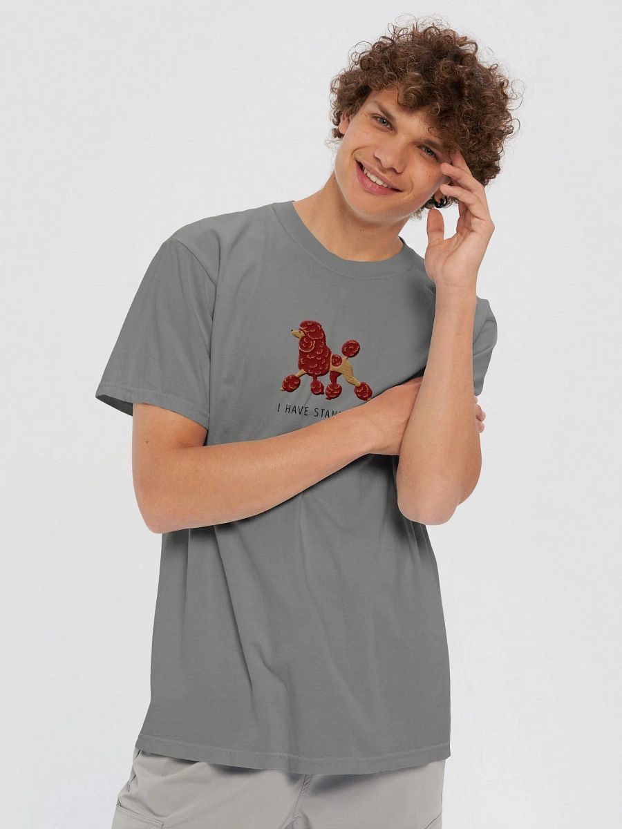 I Have Standards T-Shirt(Embroidered) of a Standard Poodle(Chocolate) product image (6)