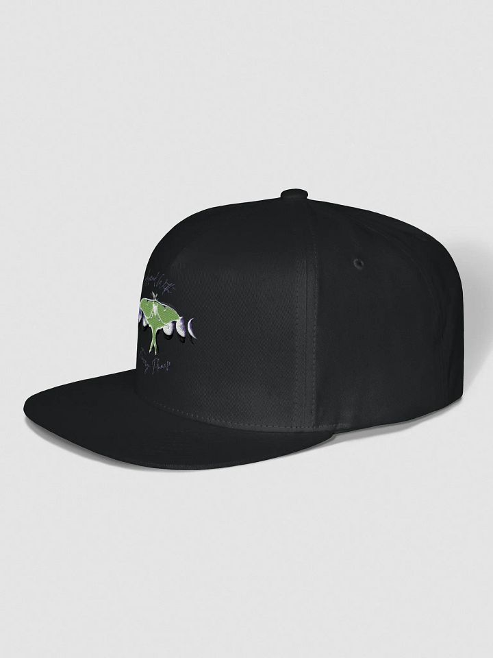 Ascend With Every Phase Flat Snapback Cap product image (7)