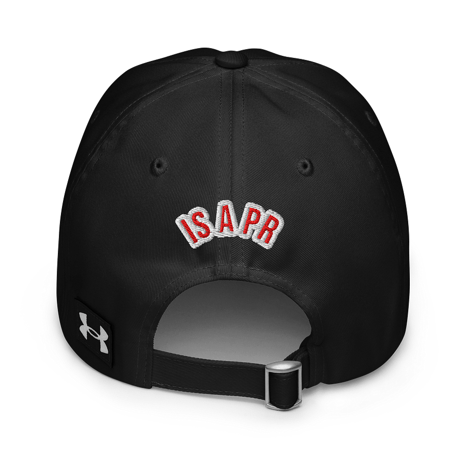 "THE GAINS LIE™ DAD HAT product image (4)