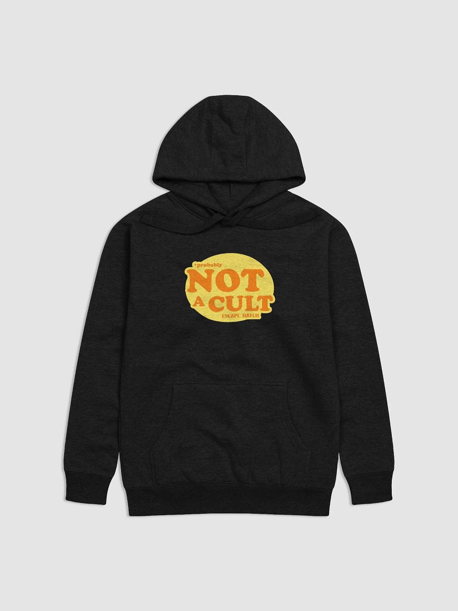 *probably Not A Cult Hoodie product image (1)