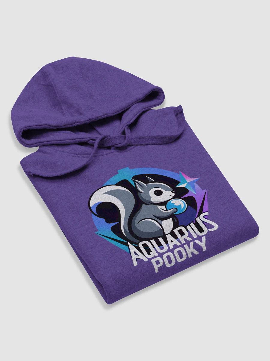 Super Soft Hoodie: Aquarius Pooky product image (5)