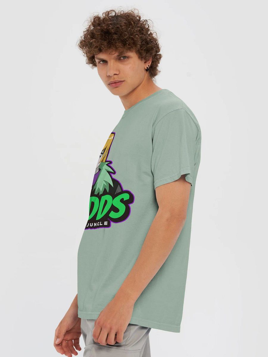 SAGE T SHIRT product image (73)