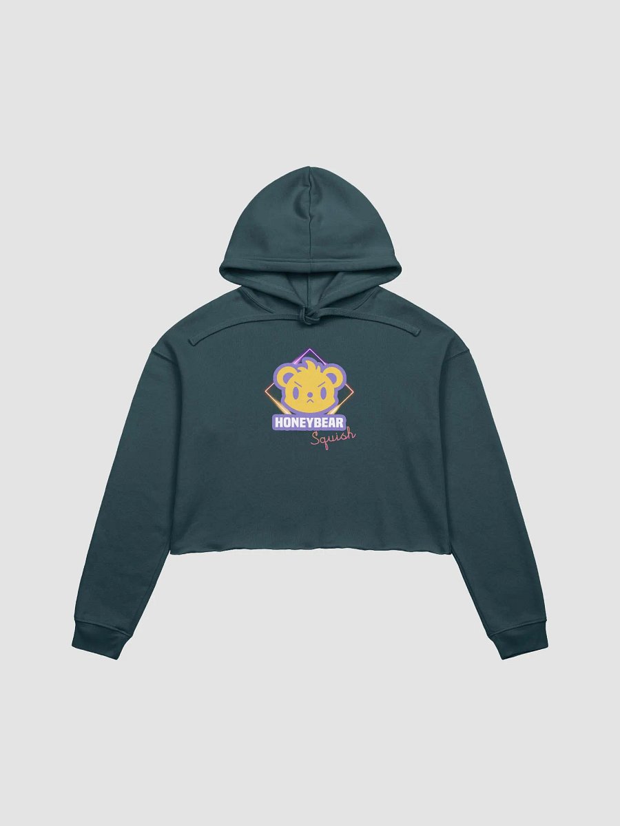 HBS Crop Top Hoodie product image (8)