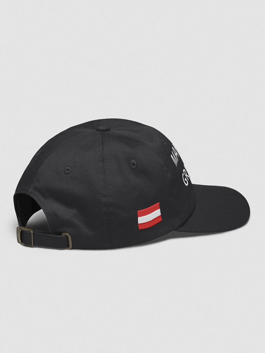 Make Austria Great Again Cap / Hat product image (4)