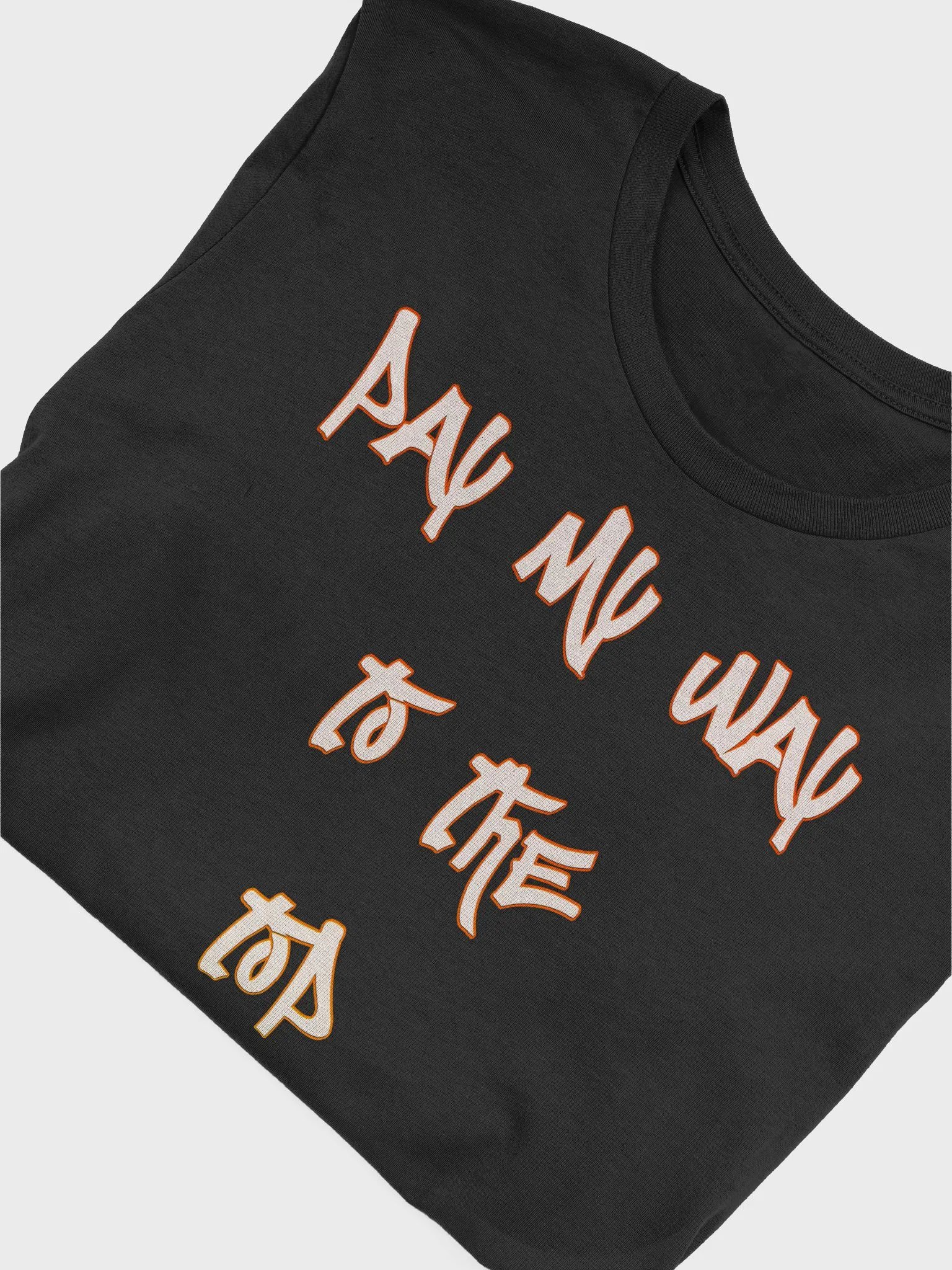 Pay my way product image (4)