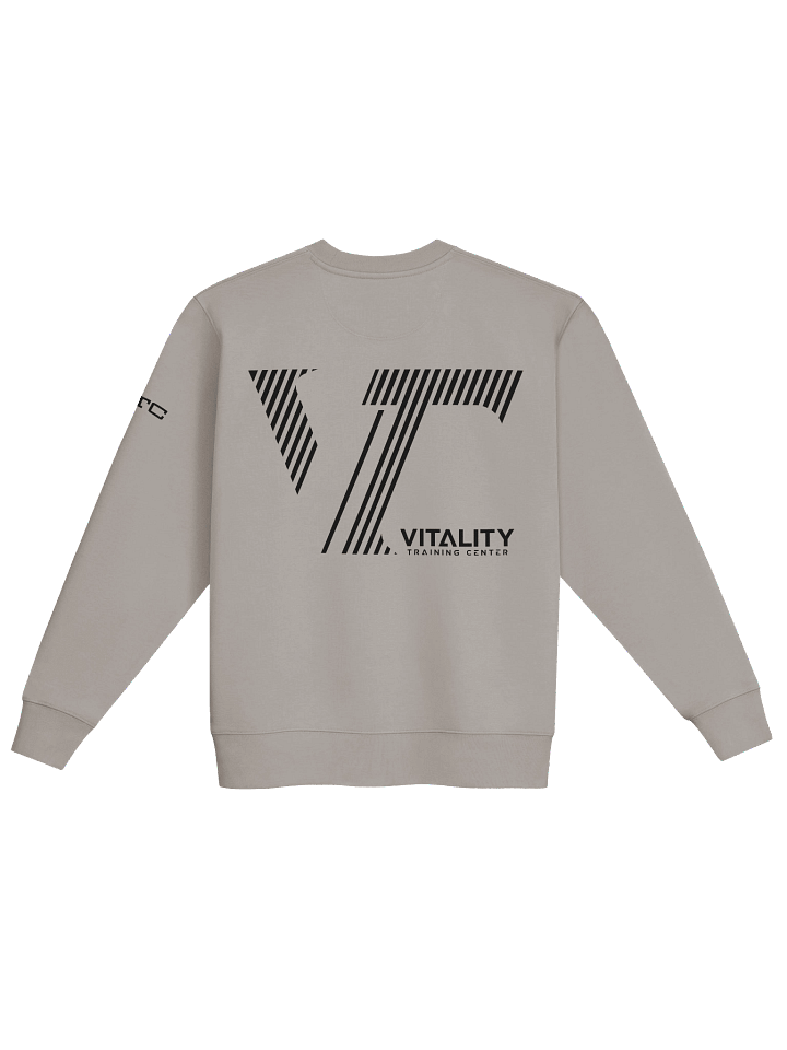 VTC Crewneck Grey product image (2)
