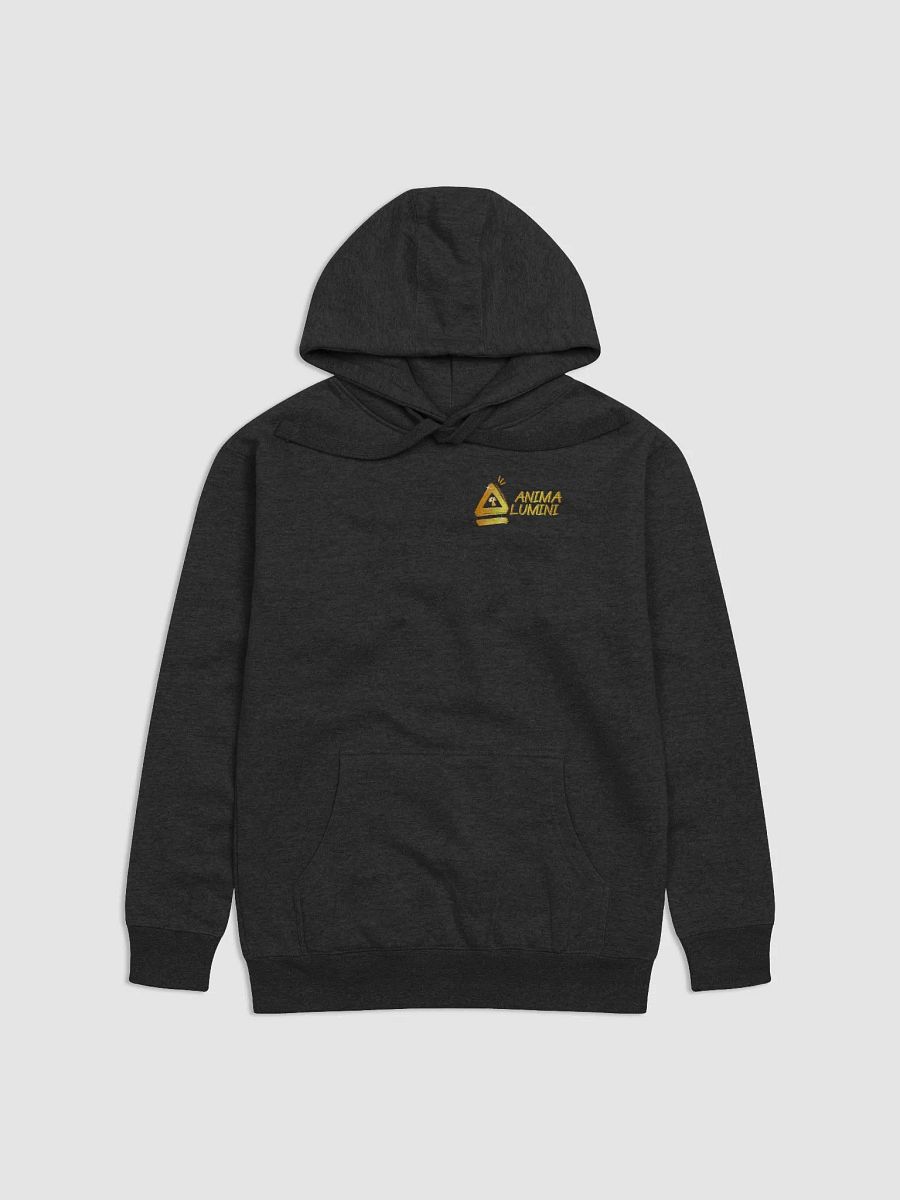 Anima Alumini Hoodie! product image (4)