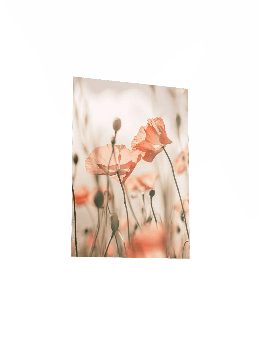 Translucent Poppy Whispers Poster product image (30)