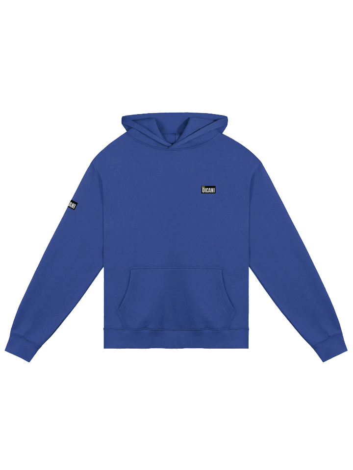 Regal Crown Oversized Hoodie product image (3)
