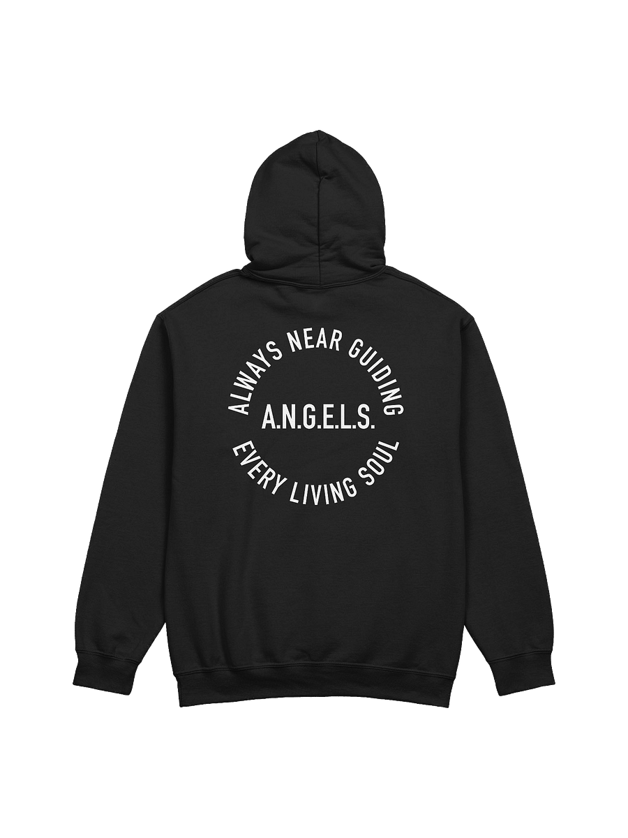 A.N.G.E.L.S. Hoodie product image (1)
