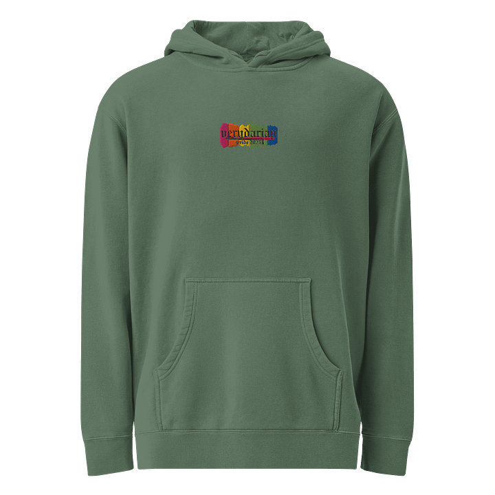 🗡️be gay and slay rainbow banner hoodie pride 2025🗡️ product image (2)