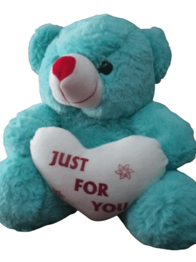 Taddy Bear product image (1)