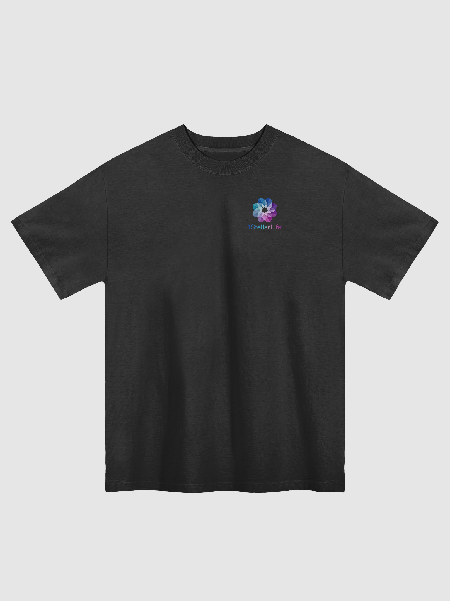 Ohana Faded Oversized Tee product image (1)