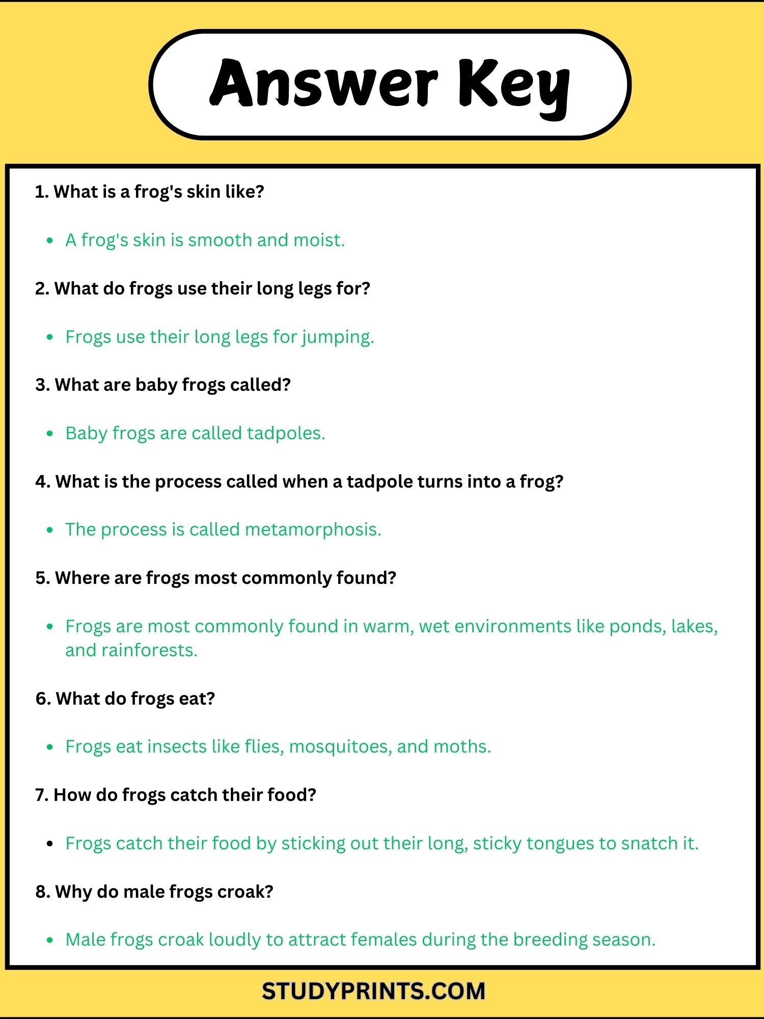 all about frogs reading comprehension worksheets product image (4)