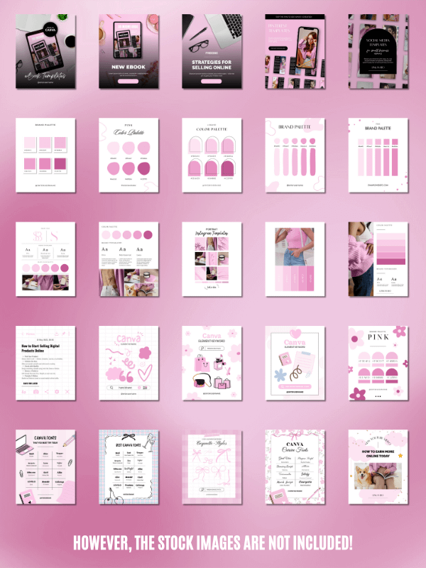 MRR/PLR Instagram Templates for Digitals product image (4)