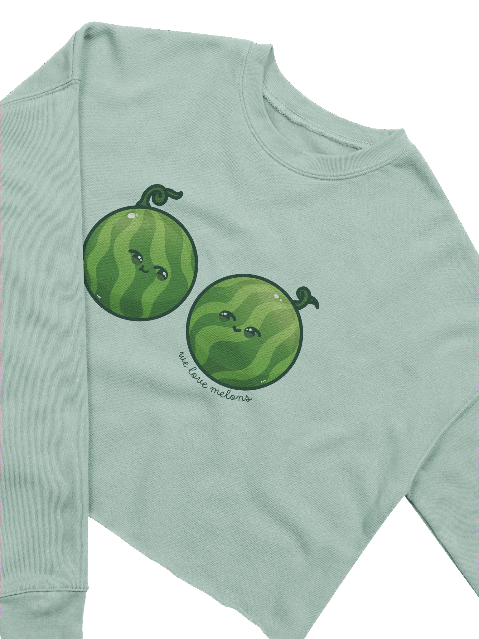 Crop Melon Sweatshirt product image (8)