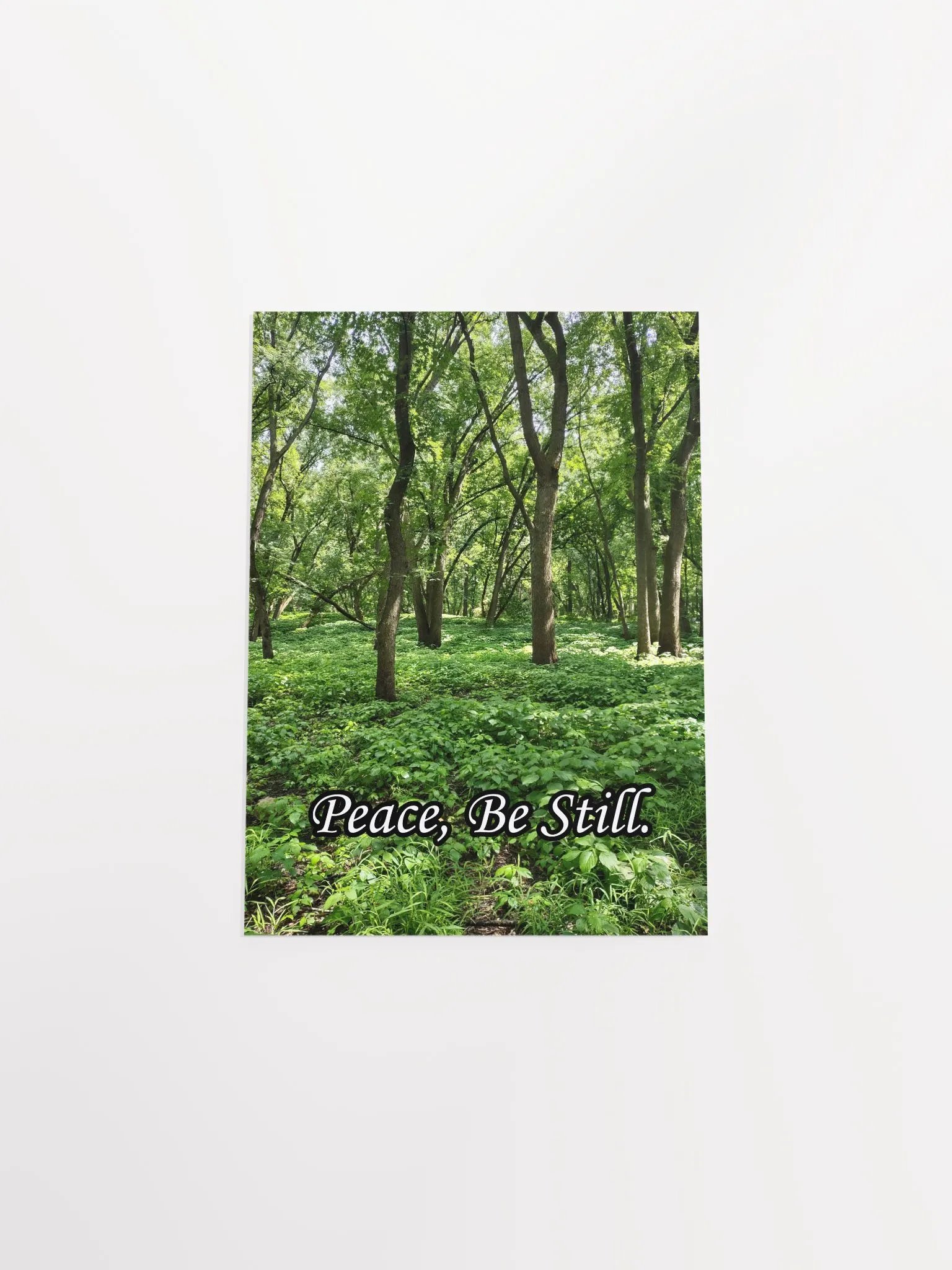 Peace, Be Still - Print product image (12)