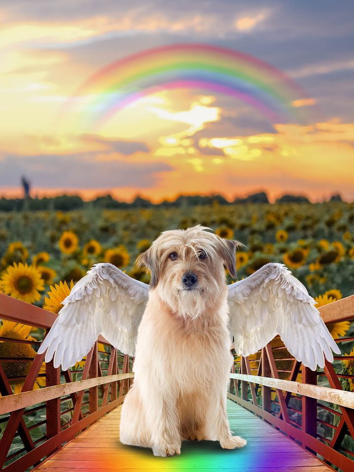 Pet Loss Rainbow Bridge Portrait product image (2)