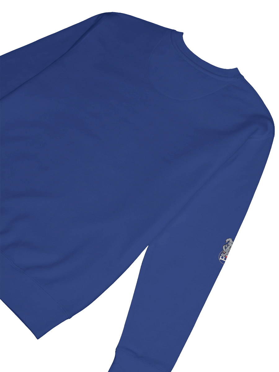 Bad blue Boys Crown Sweatshirt product image (8)