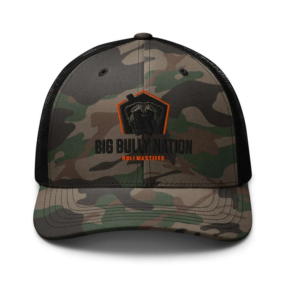 BBN Logo 1 Camo Truckers Hat product image (1)
