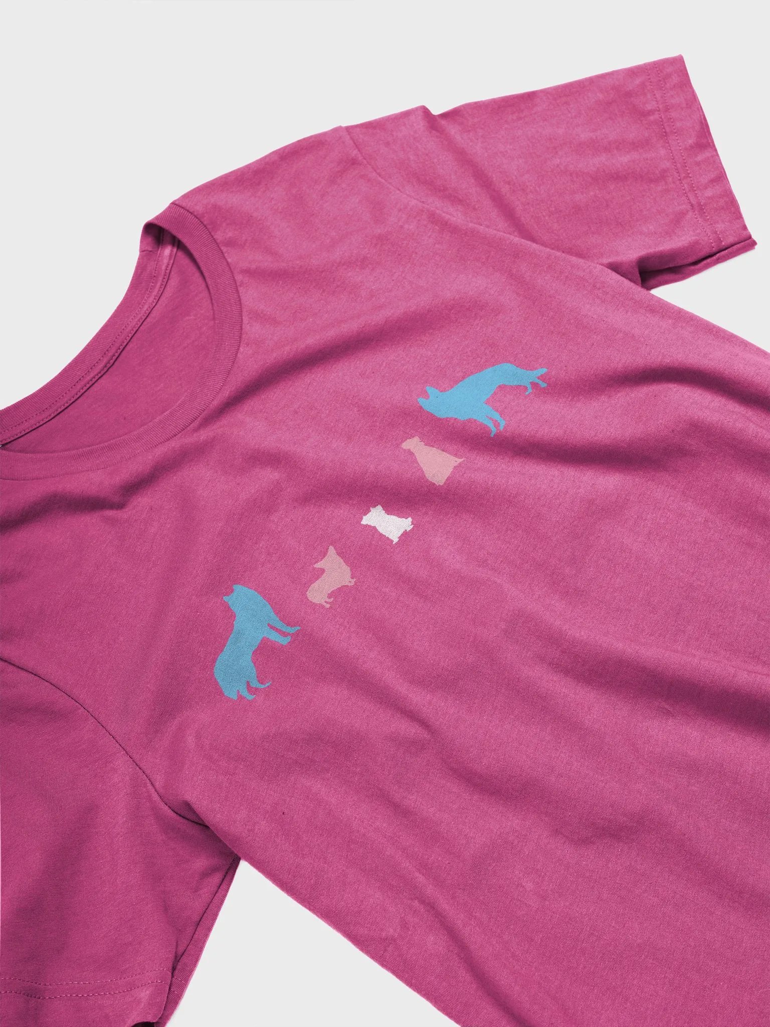 Transgender Pride Dogs Women's Shirt product image (27)