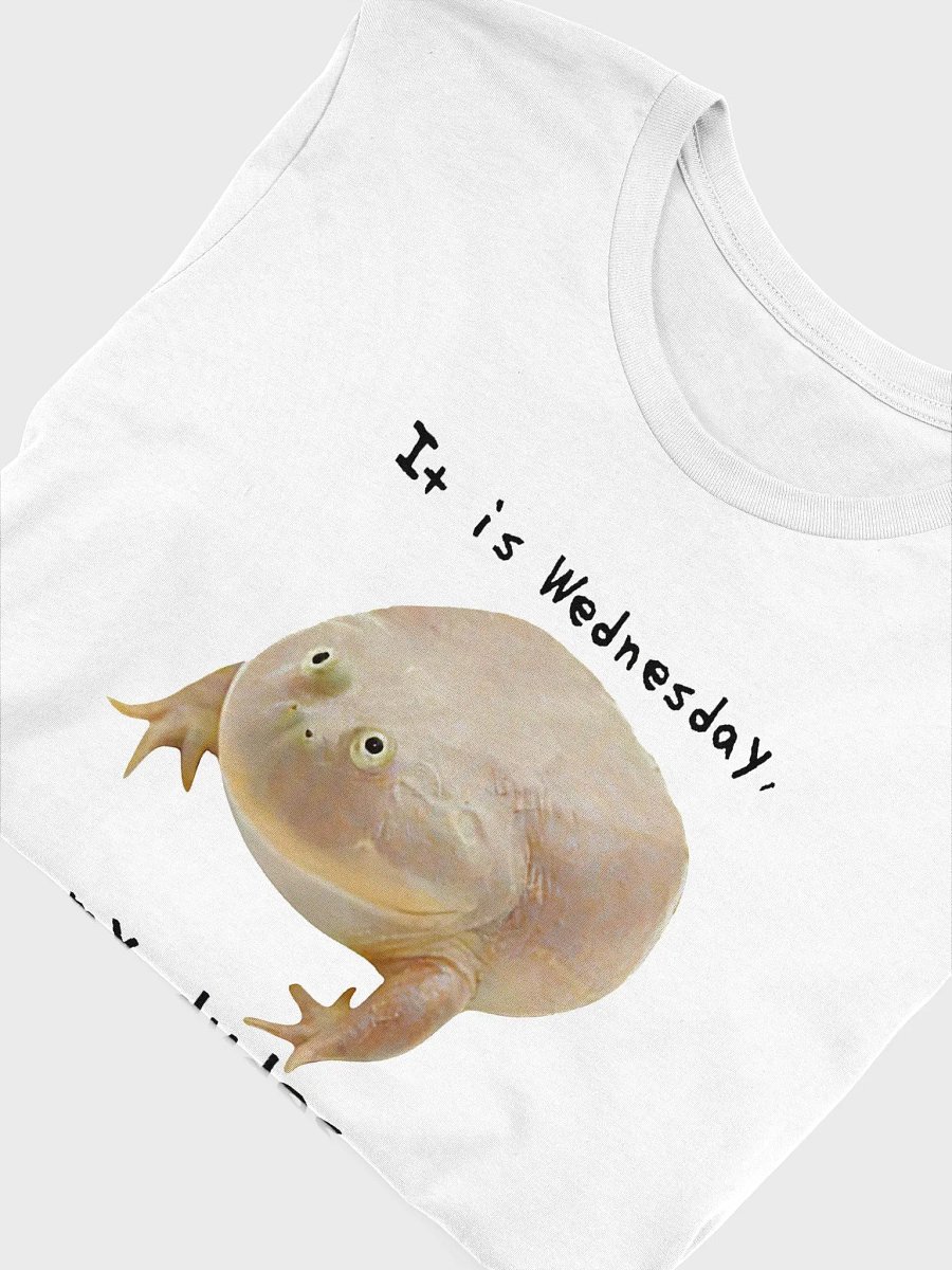 Wednesday Frog Tee (Bella+Canvas 3000) product image (5)