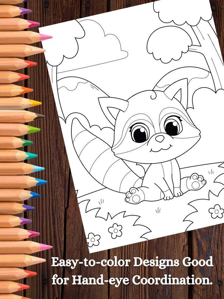 Raccoon Printable Coloring Pages for Kids product image (6)