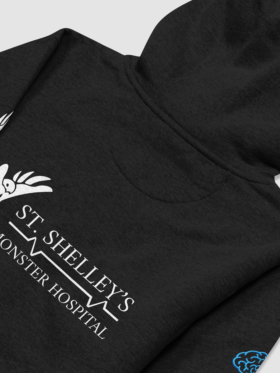 Vitruvian Steve Hoodie product image (4)