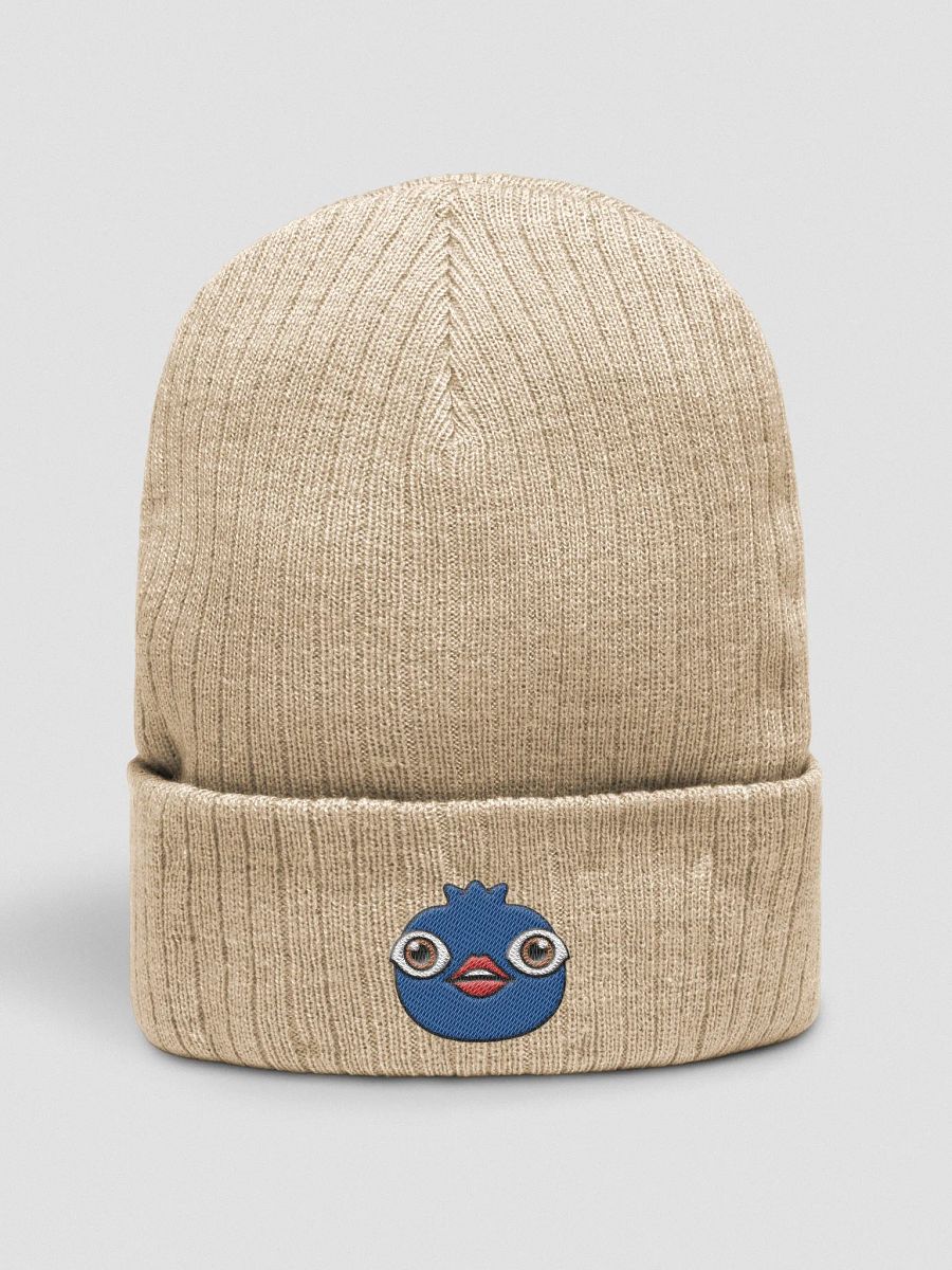 BluebEyes Beanie product image (4)