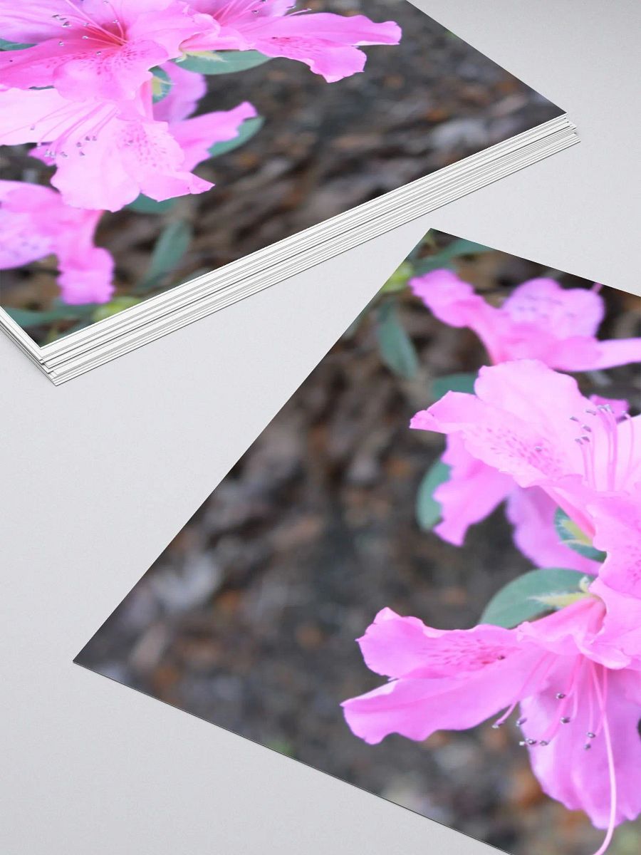 A Study in Flowers 1 - Sticker product image (12)